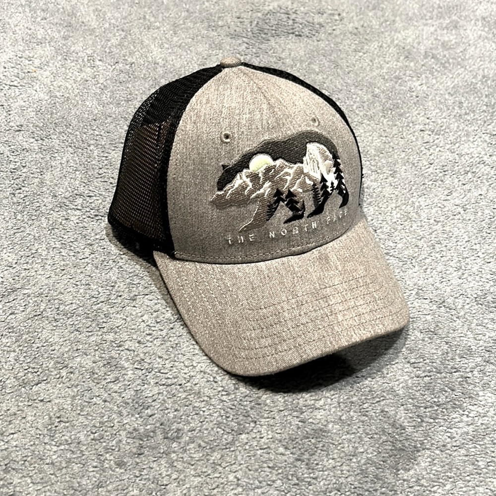 The north face hat